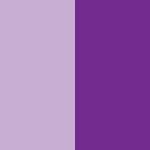 Purple Liquid Soap Dye
