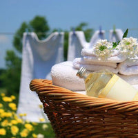 Chardonnay Fragrance Oil