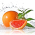 grapefruit mint fragrance oil for candles and soap