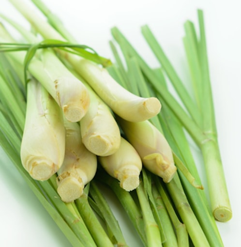 Lemongrass Essential Oil