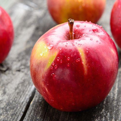 Macintosh Apple Fragrance Oil