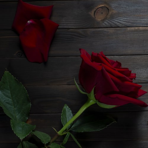 Rose Patchouli and Amber Fragrance Oil