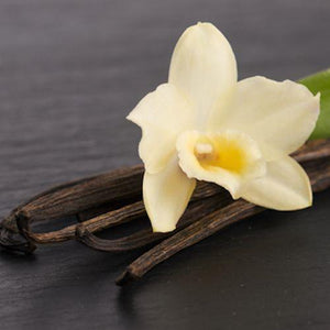 very vanilla fragrance oil